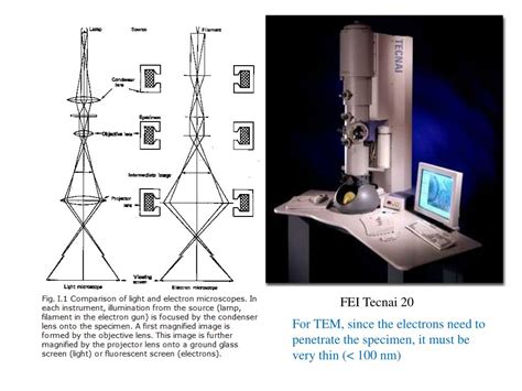 Introduction to Electron Microscopy .